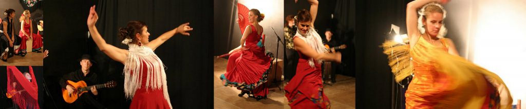 Flamenco Tänzerin